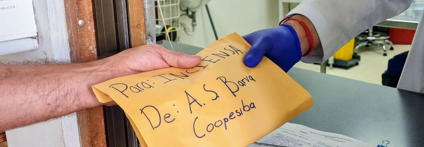 Embalaje de las muestras