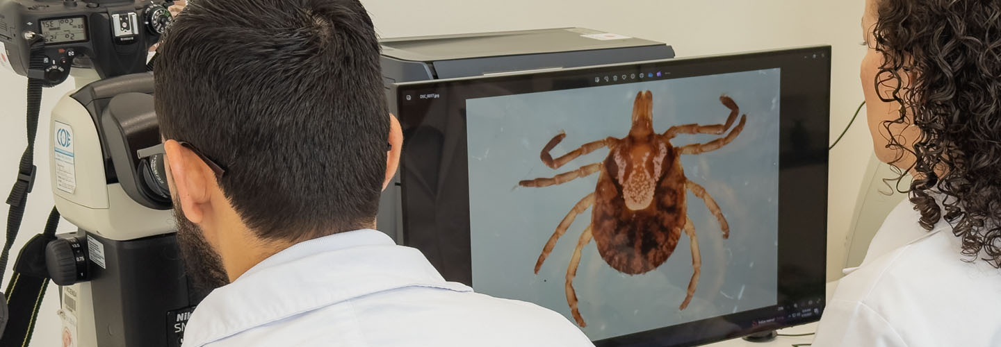 Centro Nacional de Referencia de Entomología (CNRE)